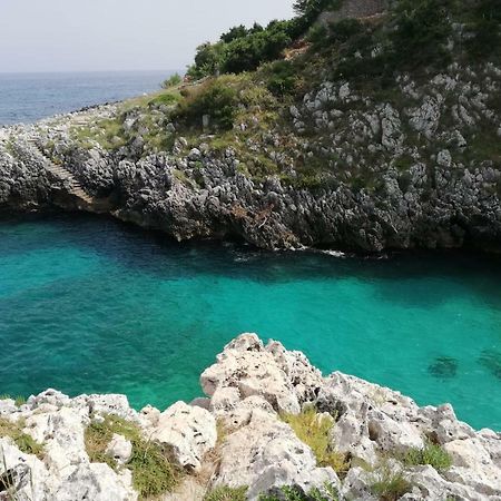 Limonaia In Salento Villa Marittima Bagian luar foto