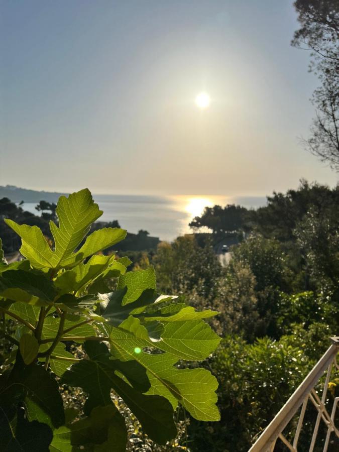 Limonaia In Salento Villa Marittima Bagian luar foto