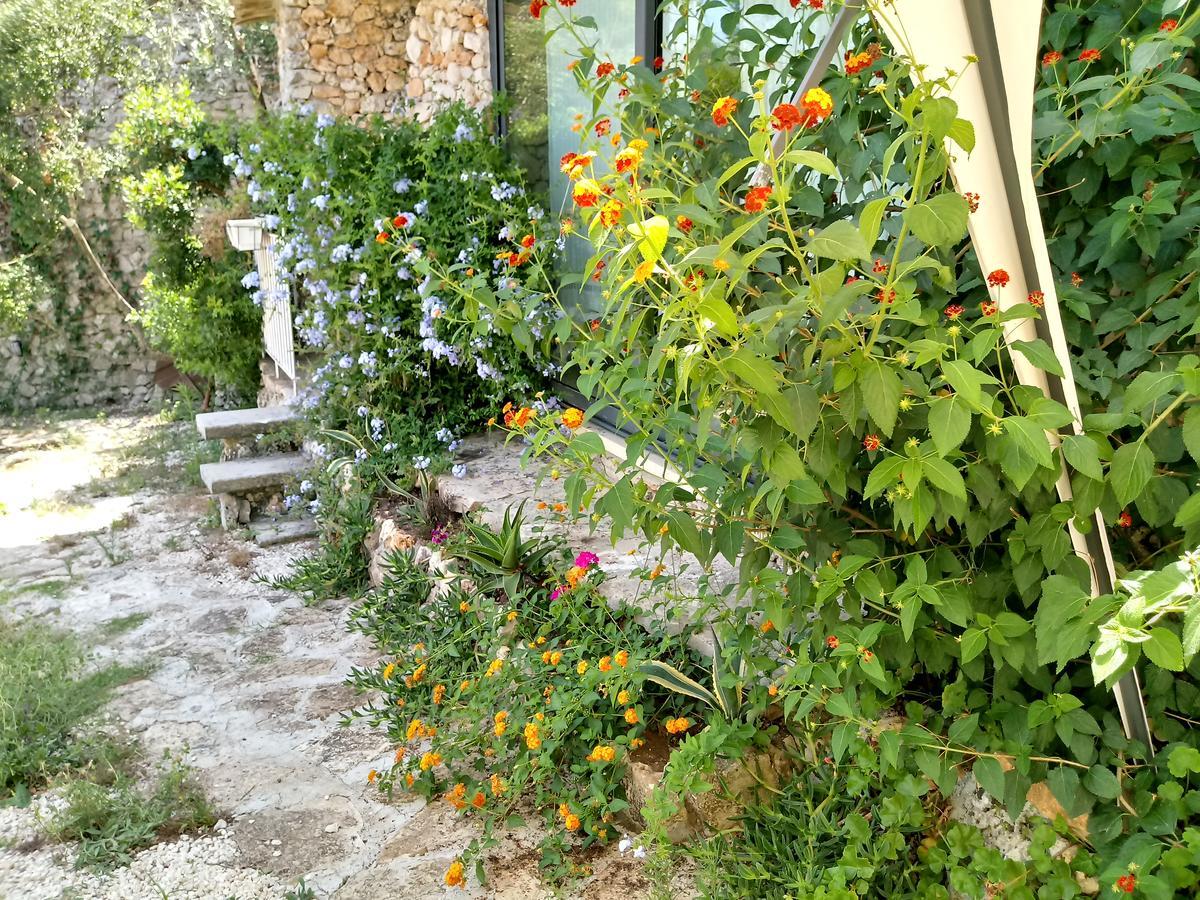 Limonaia In Salento Villa Marittima Bagian luar foto