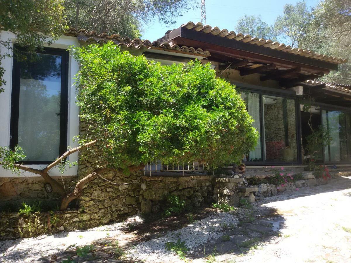 Limonaia In Salento Villa Marittima Bagian luar foto